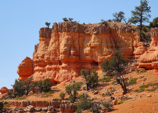 Red Canyon Trail Utah